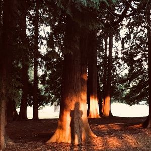 Meet your Posher, Anne